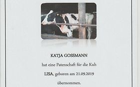 Altes Waschhaus
